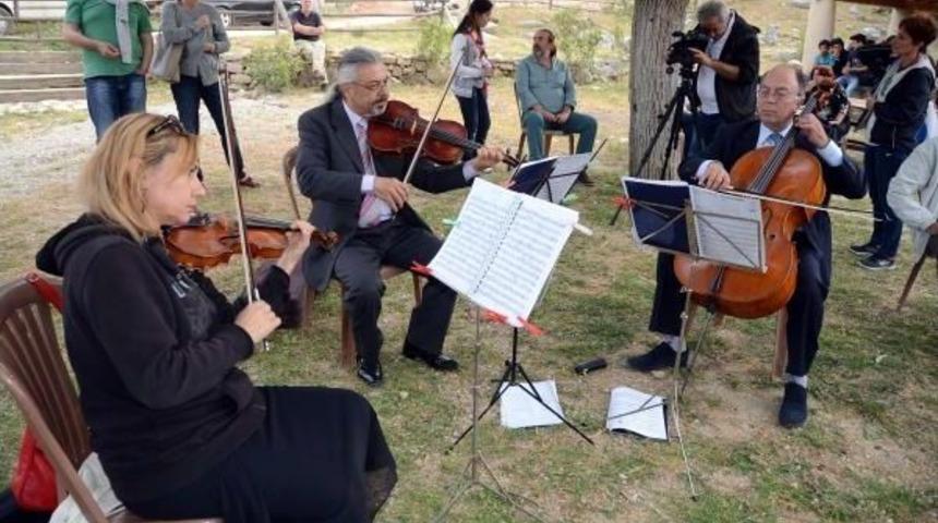 Pedasa Festivali Sona Erdi