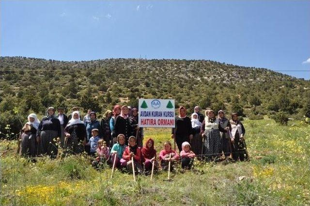 Korkuteli Avdan Kuran Kursu &Ouml;ğrencilerinden Hatıra Ormanı 1