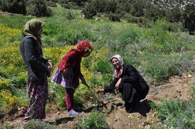 Korkuteli Avdan Kuran Kursu &Ouml;ğrencilerinden Hatıra Ormanı 2