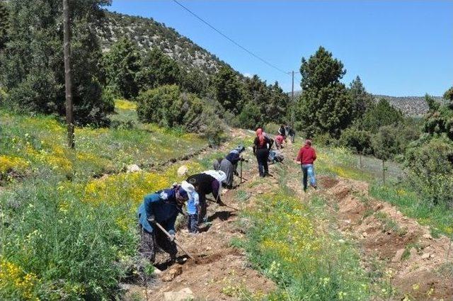 Korkuteli Avdan Kuran Kursu &Ouml;ğrencilerinden Hatıra Ormanı 3