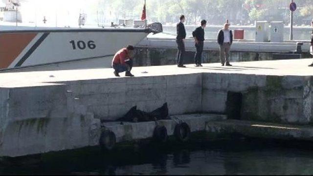 Kayıp Kişinin Cesedi Denizden Çıktı