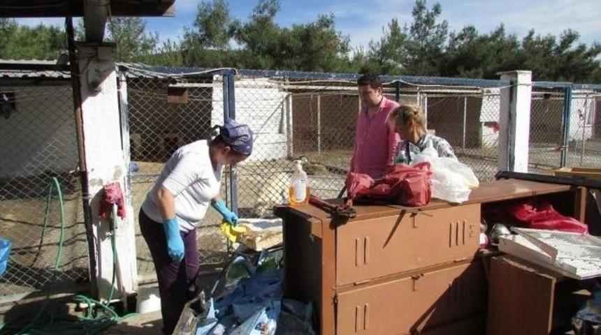 Hayad Barınaktaki Hayvanlar İ&ccedil;in Temizlik Yaptı