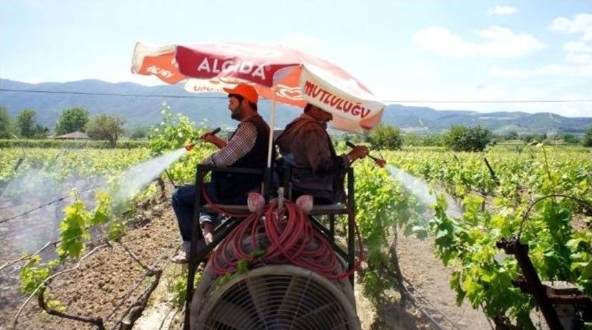 T&uuml;rk &Ccedil;ift&ccedil;inin Buluşu Merak Uyandırdı