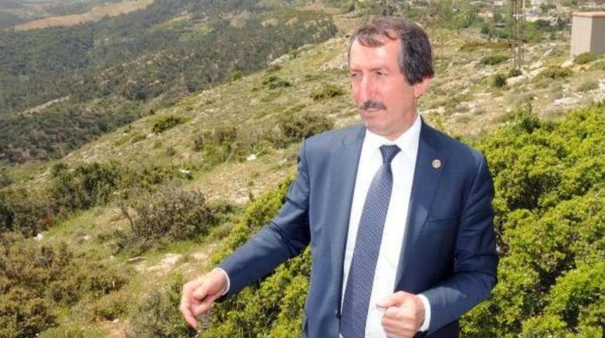 Hatay'a Avrupa'nın Kuş G&ouml;zlem Temalı Tabiat Parkı