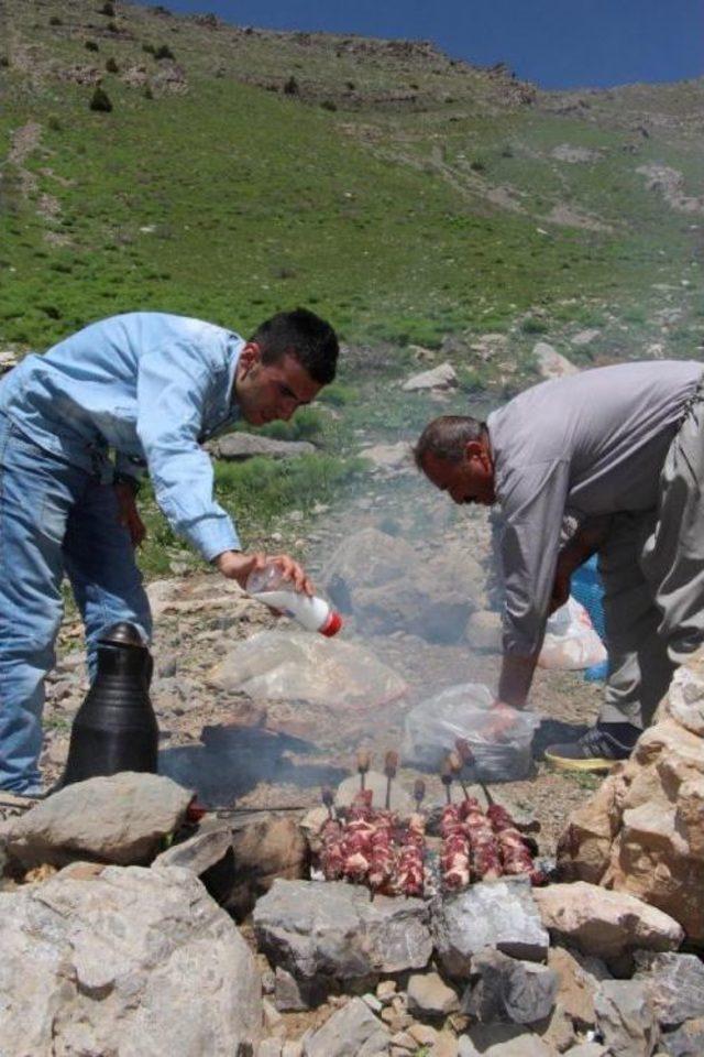 Şırnak'ta Kel Mehmet Dağında Çıkıp Piknik Yapanlar 'çözüm Süreci'nin Devamını Istedi