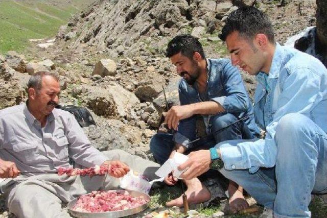 Şırnak'ta Kel Mehmet Dağında Çıkıp Piknik Yapanlar 'çözüm Süreci'nin Devamını Istedi