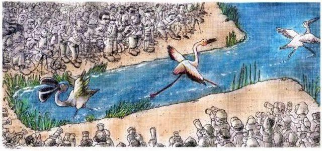 Karikatürler Kuş Cenneti Için Yarıştı 1