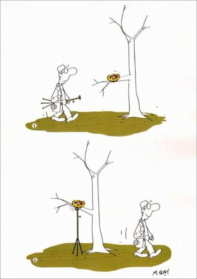 Karikatürler Kuş Cenneti Için Yarıştı 2