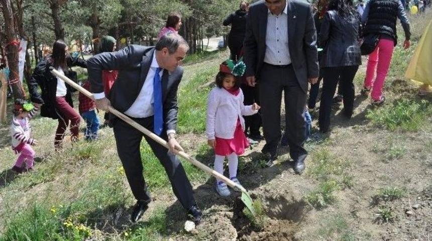 Sungurlu Myo Kamp&uuml;s Alanına Fidan Diktiler