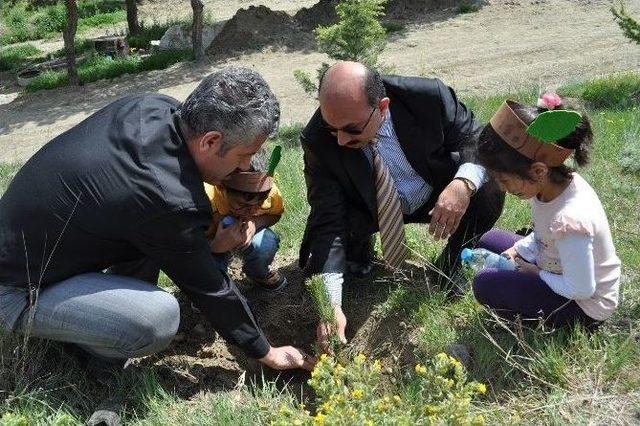 Sungurlu Myo Kamp&uuml;s Alanına Fidan Diktiler 2
