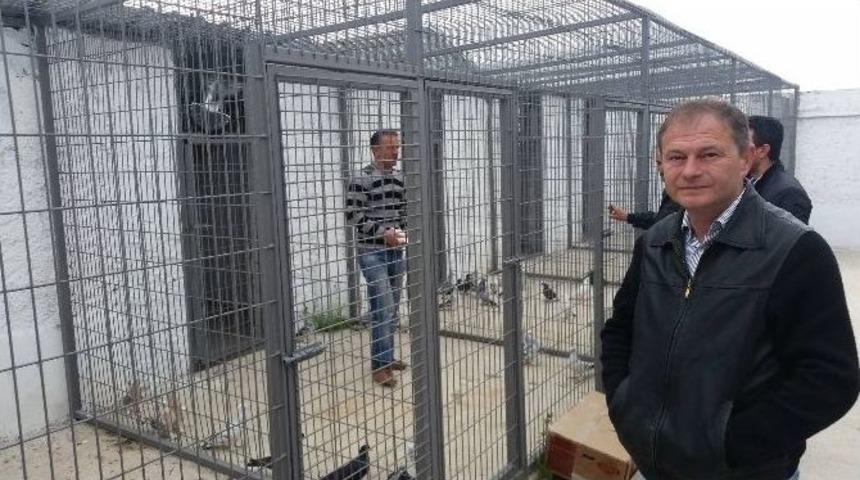 G&uuml;vercinlere Yeni Barınma Alanı