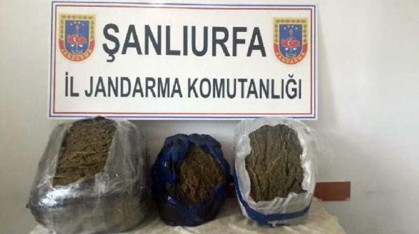 Şanlıurfa&rsquo;Da Uyuşturucu Ve Ka&ccedil;ak&ccedil;ılık Operasyonu: 5 G&ouml;zaltı