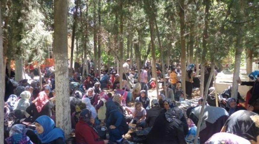 Şeyh Mehmet Vakıf Efendi &Ouml;l&uuml;m&uuml;n&uuml;n 50. Yıld&ouml;n&uuml;m&uuml;nde Anılıyor