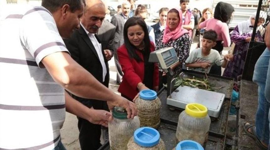 Silopi&rsquo;de K&ouml;y &Uuml;r&uuml;nleri Pazarı Kuruldu