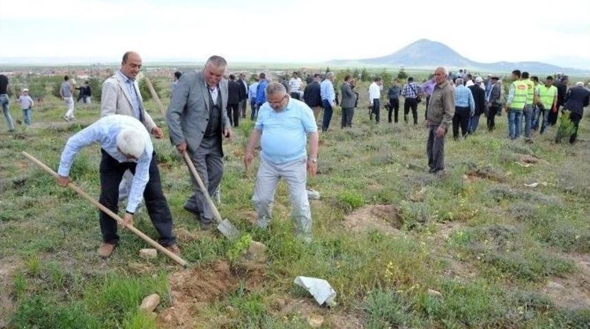 Yağmur Duasının Ardından Fidan Dikimi