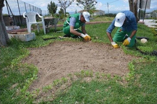 Mezarlıkların Ve Parkların Bakımı Yapılıyor