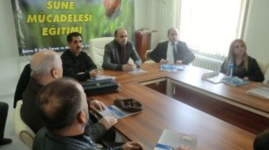 S&uuml;ne M&uuml;cadelesi Eğitimi