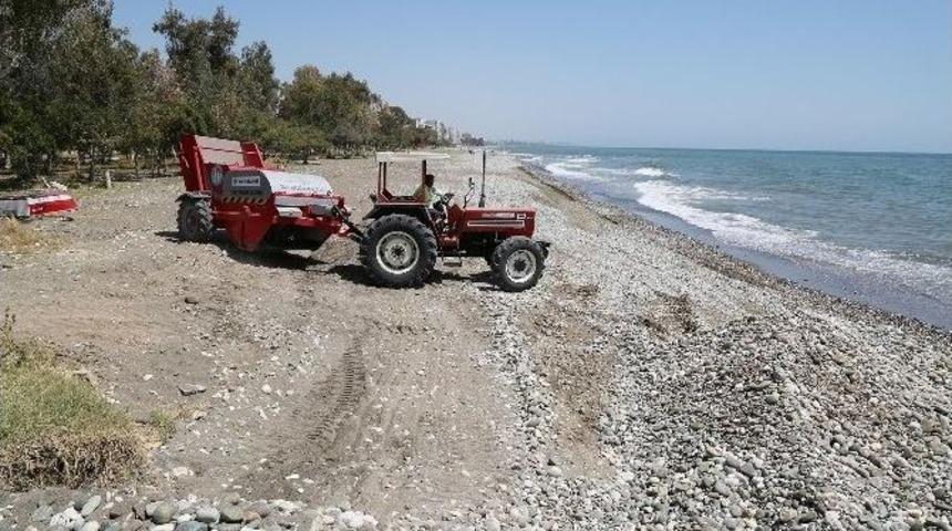 Mezitli Sahillerinde Yaz Temizliği