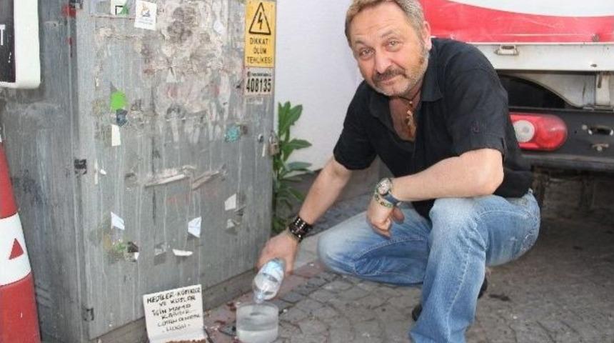 Esnafın Hayvan Sevgisi