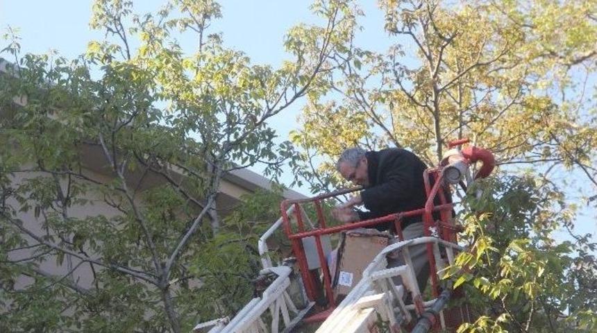 İtfaiye Bu Sefer Ağa&ccedil;tan Arıları Kurtardı