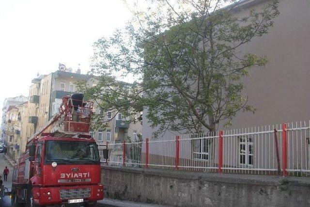 İtfaiye Bu Sefer Ağa&ccedil;tan Arıları Kurtardı 1