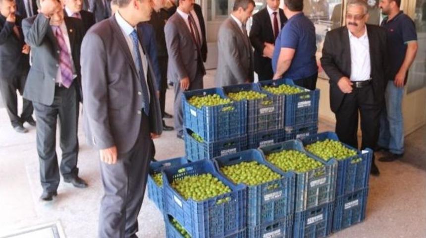 Mut&rsquo;ta Erik Fiyatları Tırmanışa Ge&ccedil;ti