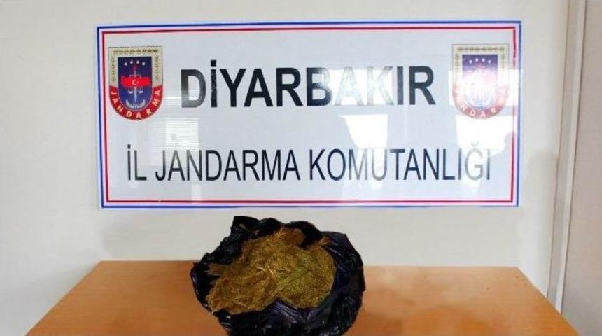 Diyarbakır&rsquo;da 12 Kilogram Esrar Maddesi Ele Ge&ccedil;irildi