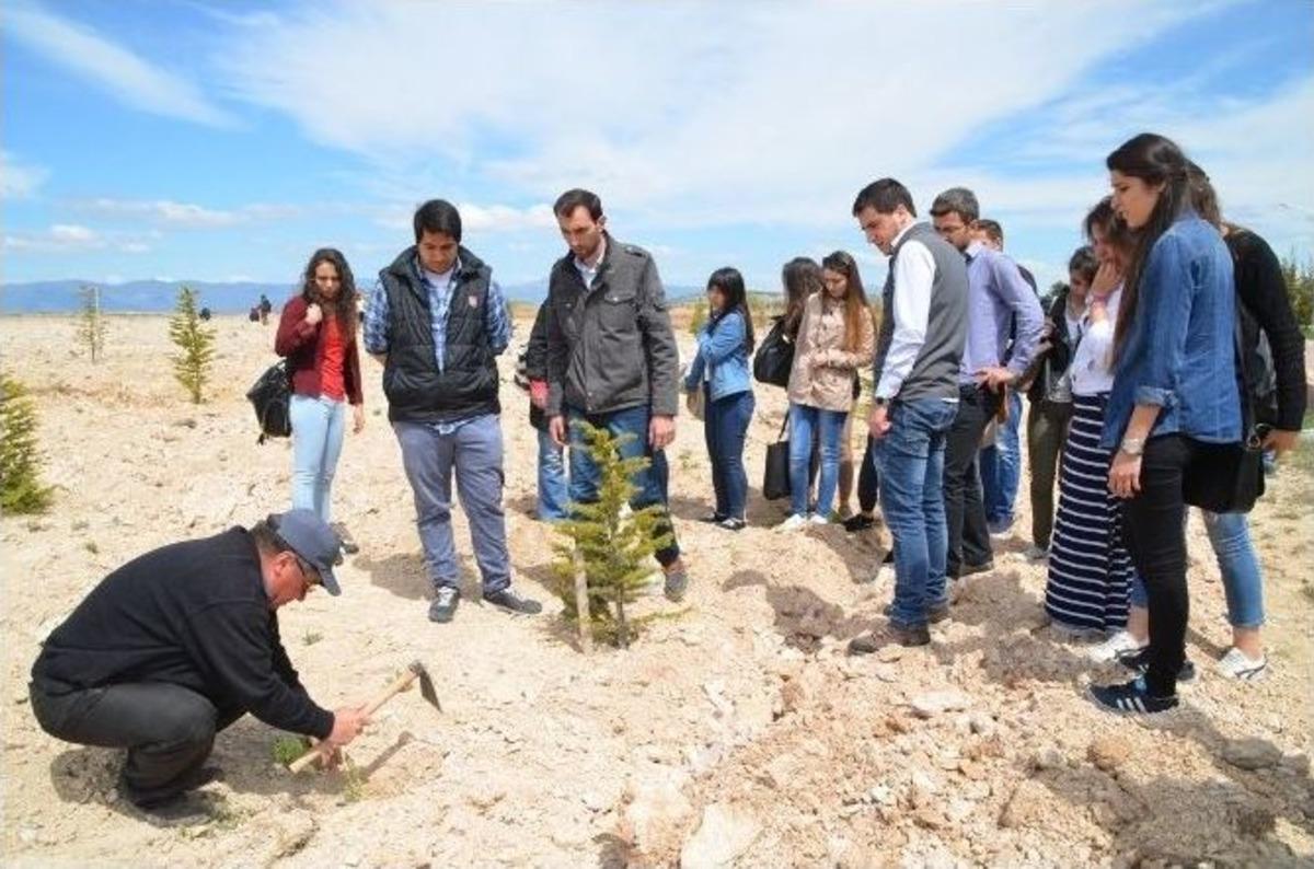İstiklal Yerleşkesine 1920 Lavanta Dikildi