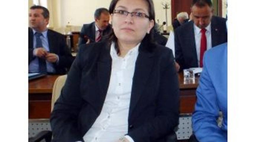 Aynur Ko&ccedil;uk Mercan, Birliğin İlk Bayan Enc&uuml;men &Uuml;yesi