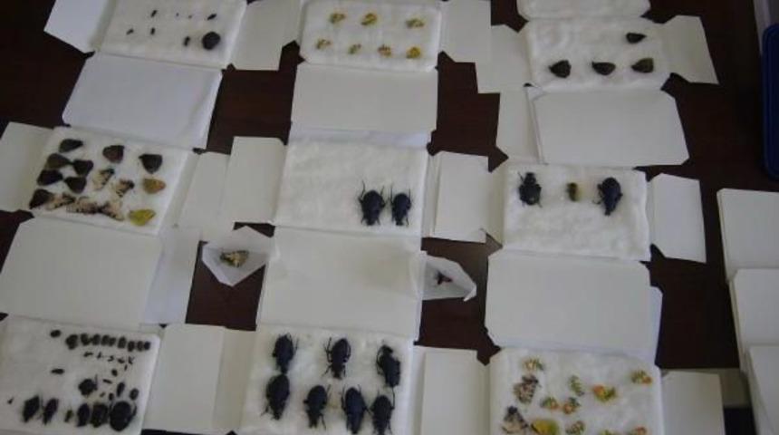 Biyoka&ccedil;ak&ccedil;ısı Rus Turistlere 77 Bin 102 Tl Ceza