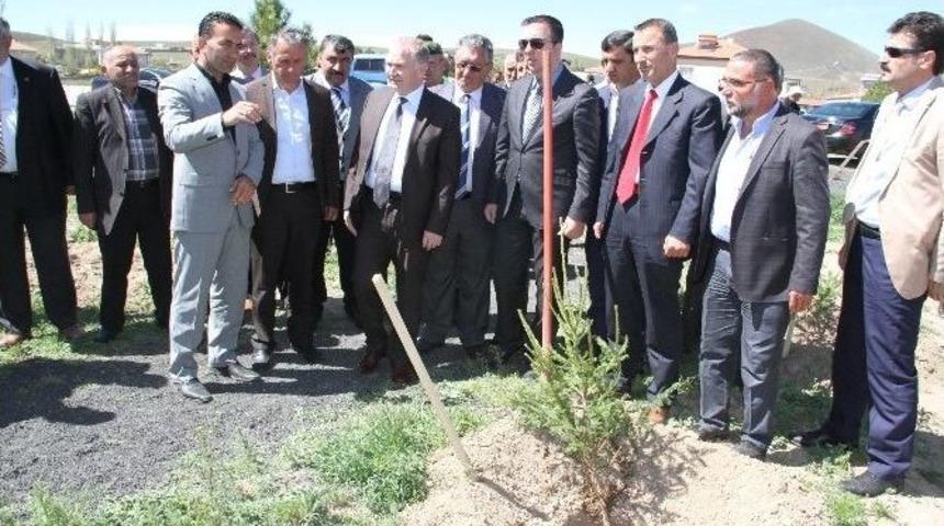 Vali Ceylan, Kuyutatlar K&ouml;y&uuml;nde K&ouml;yl&uuml;lerle Fidan Dikti