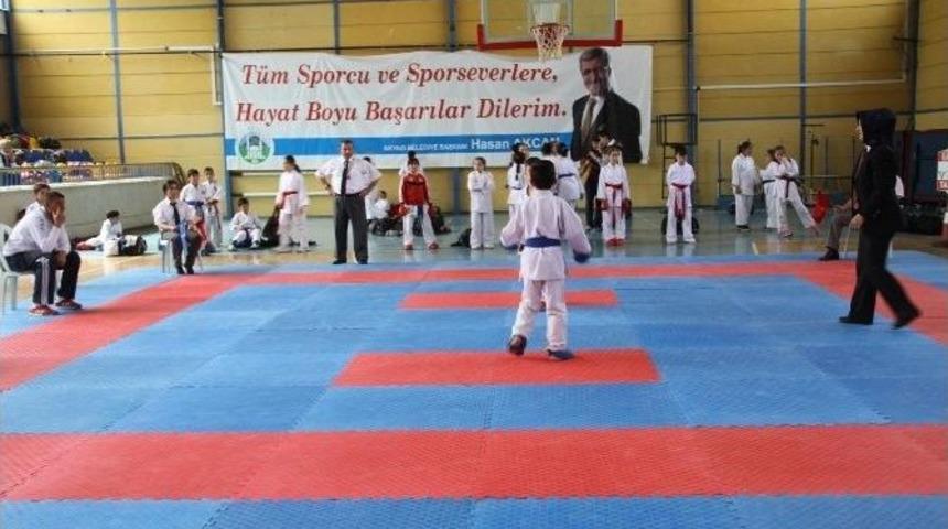 Akyazı Belediyesi Spor Şenlikleri Karate Turnuvası İle Devam Ediyor