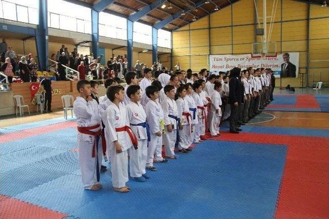 Akyazı Belediyesi Spor Şenlikleri Karate Turnuvası İle Devam Ediyor