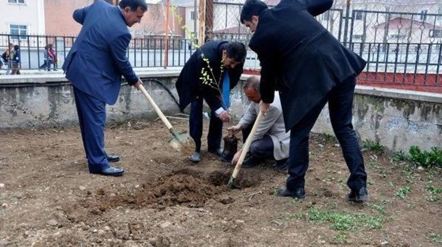 &Ccedil;aldıran Kaymakamlığı Tarafından Fidan Dikimi Ger&ccedil;ekleştirildi