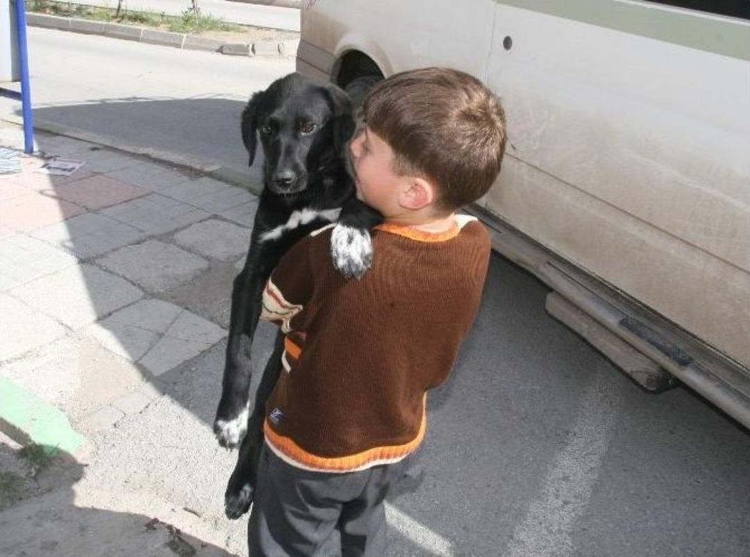Minik &Ouml;mer Faruk&rsquo;a Hayvan Sevenlerden Destek Geldi
