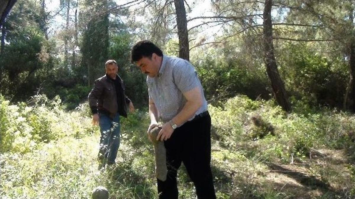 500 Yıllık Mezarlık Bakıma Alındı