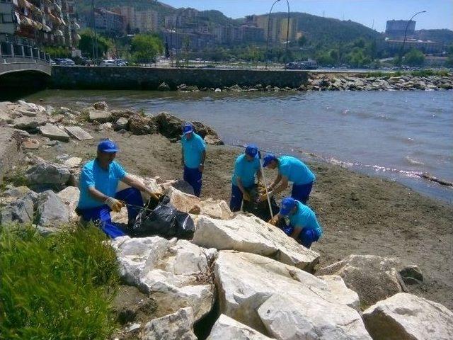 Gemlik Körfezi’ndeki Renk Değişikliğinin Sebebi Alg Patlaması