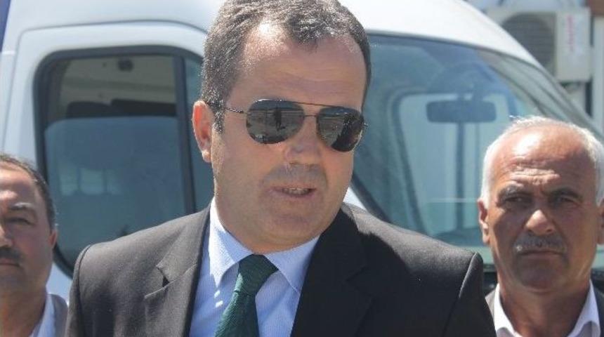 Tedavi Edilen Yabani Hayvanlar Doğaya Bırakıldı