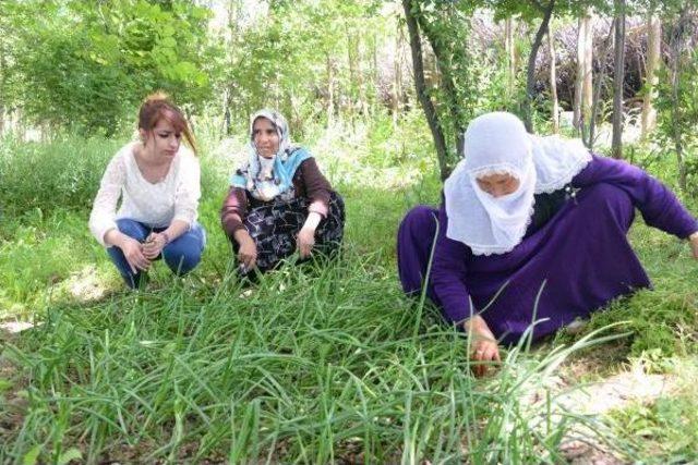 Mevsimlik Tarım Işçileri, 'sebze Sepeti' Projesiyle Kendileri Için Üretiyorlar