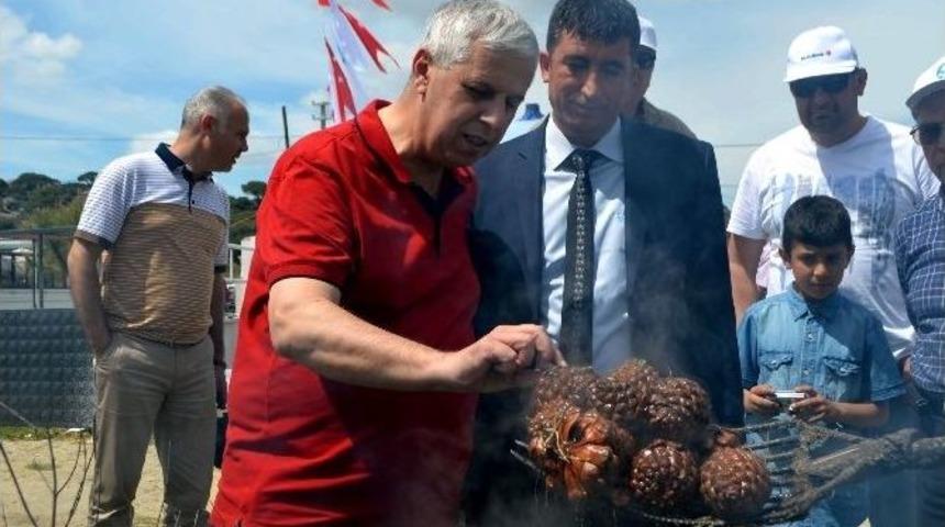 Altın Değerindeki K&uuml;narın Zorlu Yolculuğu