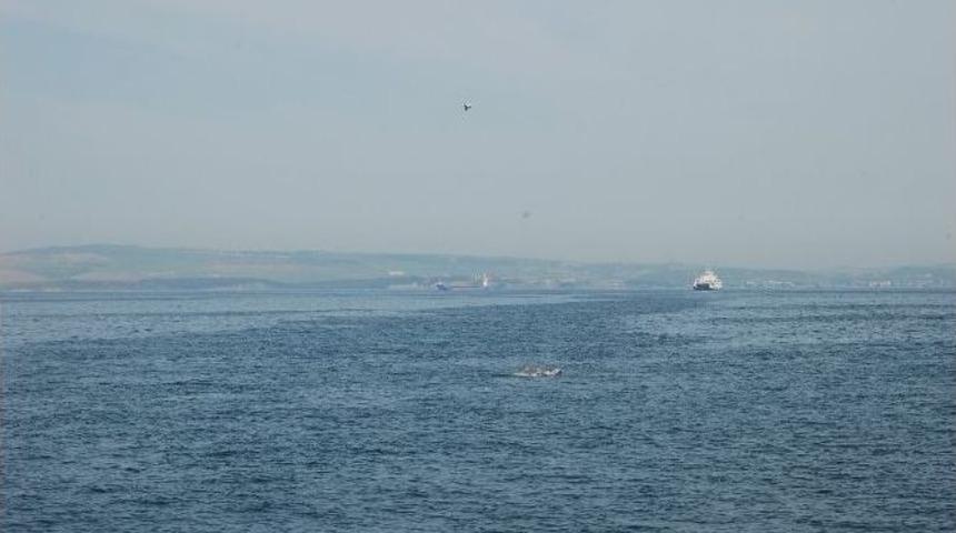 &Ccedil;anakkale Boğazında L&uuml;fer Akını