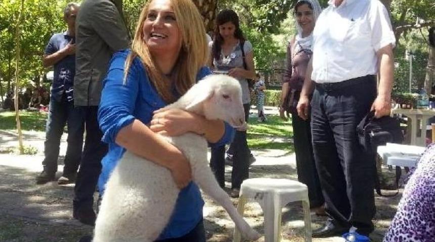 Hdp Hıdırellez'de Romanlar'dan Oy Istedi