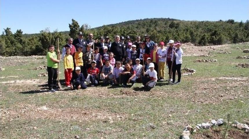 Boz&uuml;y&uuml;k&rsquo;te Karayolu Trafik G&uuml;venliği Haftası Etkinlikleri