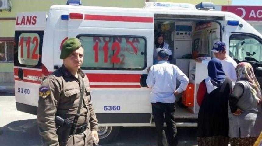 Piknikte Kaybolan Kadını Jandarma K&ouml;peği Buldu