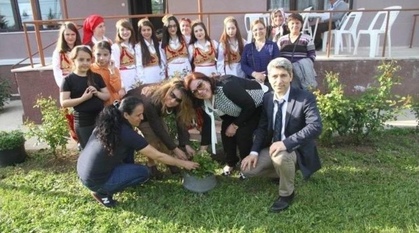Kocaeli&rsquo;de Hıdırellez Kutlamaları Coşku İle Başladı