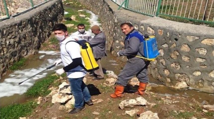 Kurtalan&rsquo;da Sivrisinek İle M&uuml;cadele