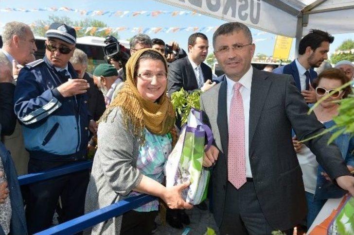 Üsküdar’da Mor Salkım Erguvan Ve Mimoza Şenliği G2