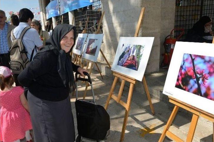 Üsküdar’da Mor Salkım Erguvan Ve Mimoza Şenliği G5