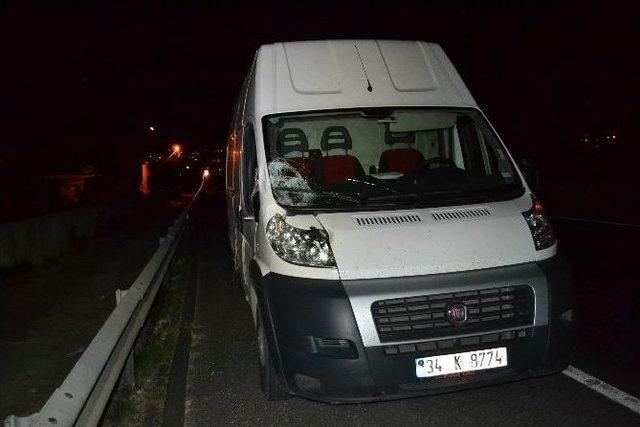 Minib&uuml;s&uuml;n &Ccedil;arptığı Yaralı Atı &Ouml;l&uuml;me Terk Ettiler 2