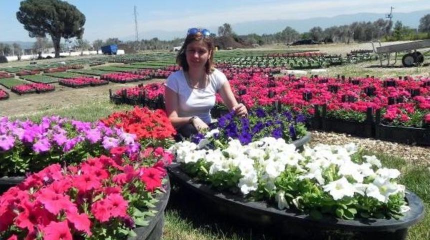 Bayındırlı &Uuml;reticilerden Kooperatif Aracılığıyla Ihracat Atağı